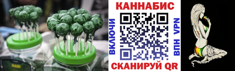 mega как зайти  наркота  Олонец  Печенье с ТГК конопля 