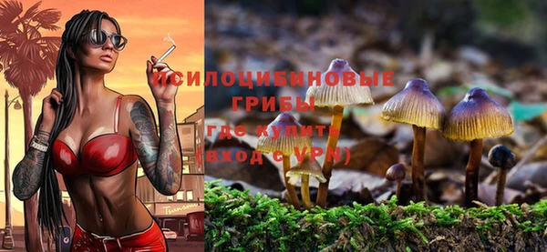 бутират Алзамай