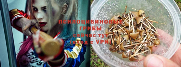 бутират Алзамай
