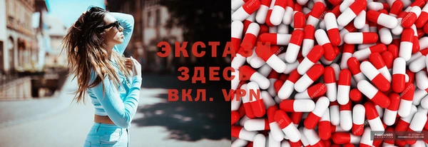 хмурый Алексин